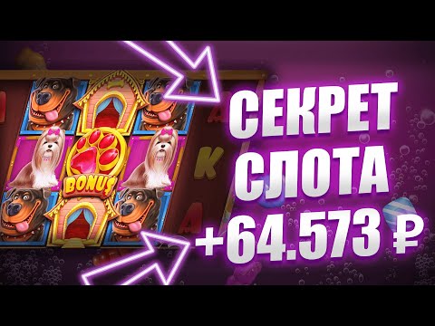 ✅ ЛУЧШИЕ КАЗИНО БОНУСЫ 2025 ТОЛЬКО НОВЫЕ КАЗИНО 💲 КАЗИНО БОНУСЫ С ВЫВОДОМ НА КАРТУ! 💰