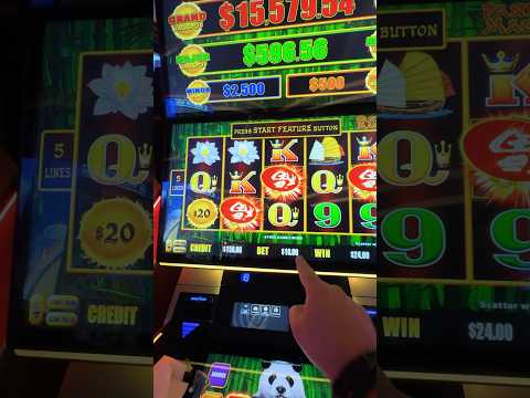 How many times have you seen this crazy bonus? #slots #casino #fypシ゚viral