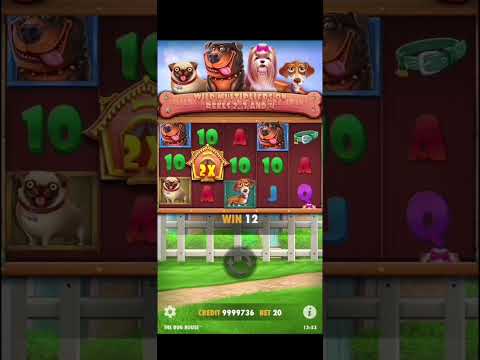 R7 Casino новое казино, промокод WILDR7 на 100FS